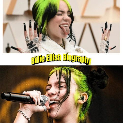 Billie Eilish Biography: Age, Parents, Full Name, Birthday, Awards